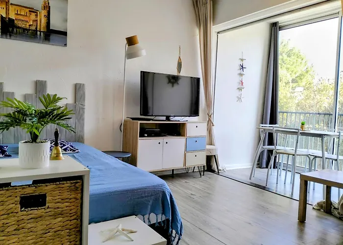 Cosy St Elme Avec Parking Et Wifi A 5min De La Apartment Collioure